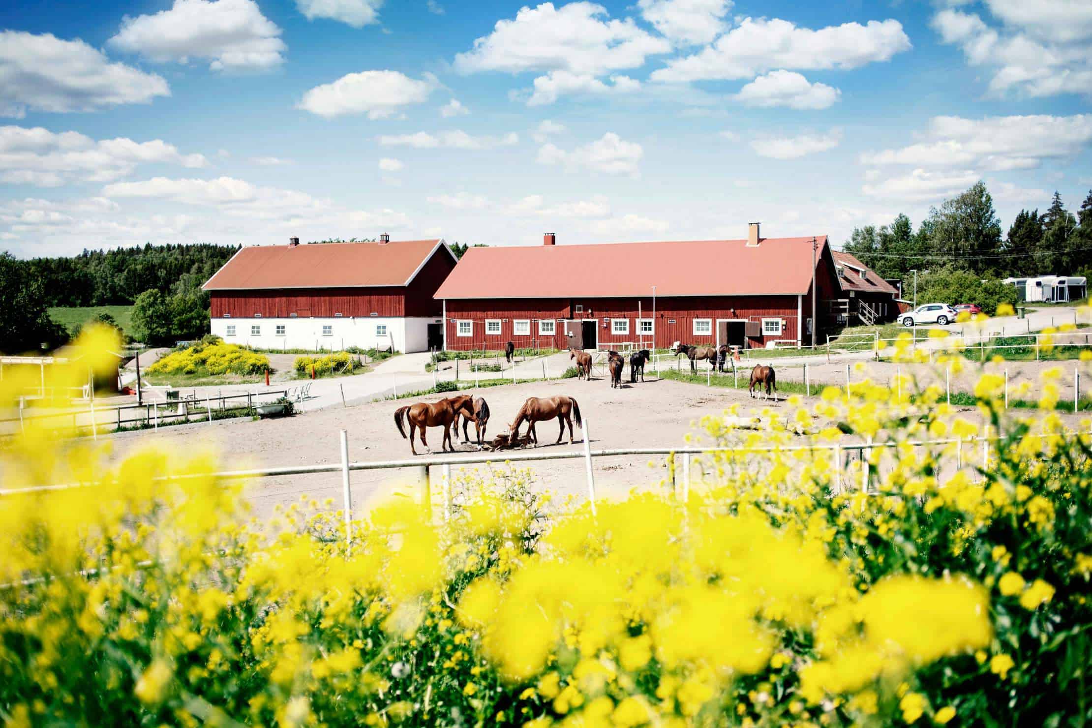 Läs mer om artikeln Upplands Väsby är Sveriges tredje miljöbästa kommun