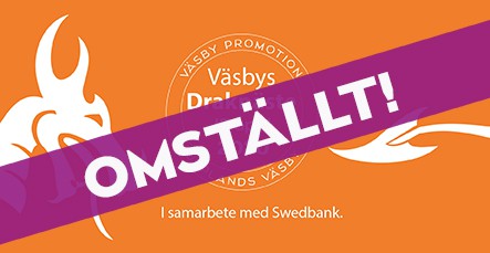 Läs mer om artikeln Väsbys Draknäste