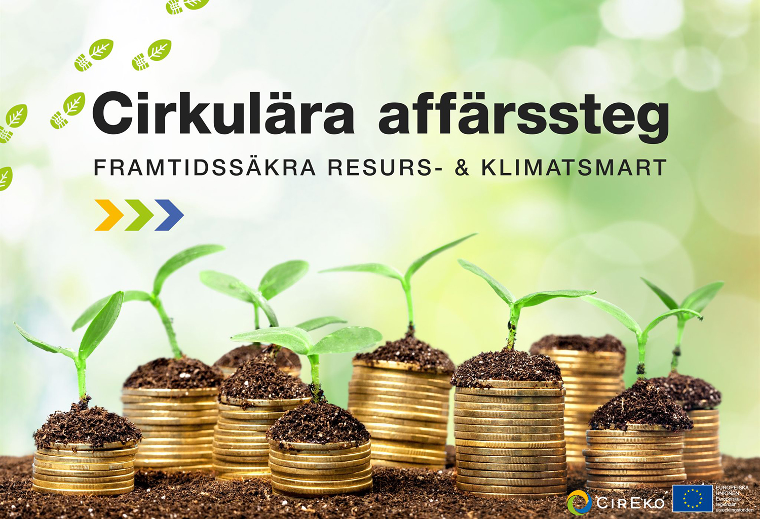 Läs mer om artikeln Utbilning 8 cirkulära affärssteg – Flera datum