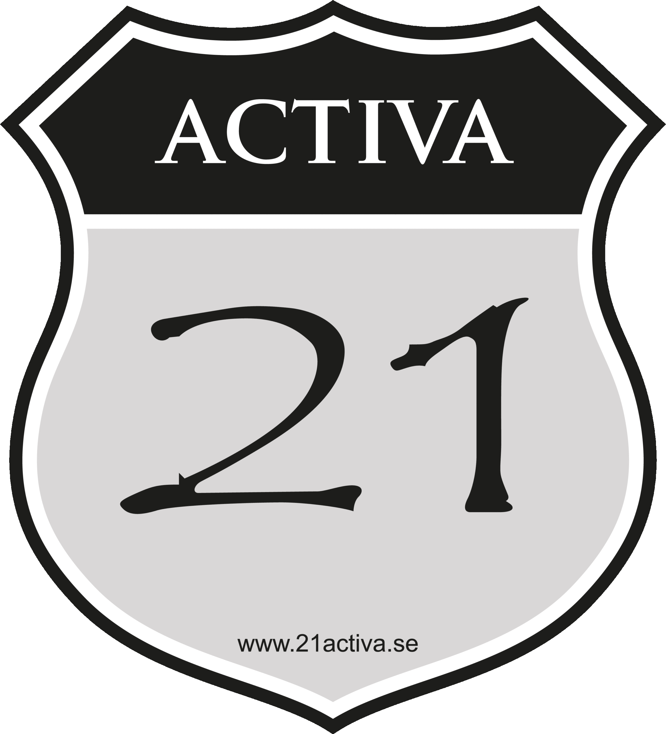 Läs mer om artikeln 21 Activa Entreprenad