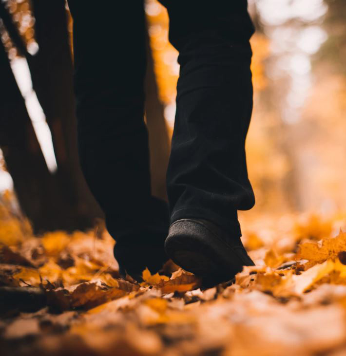 Läs mer om artikeln Walk & Talk med Väsbys näringsliv