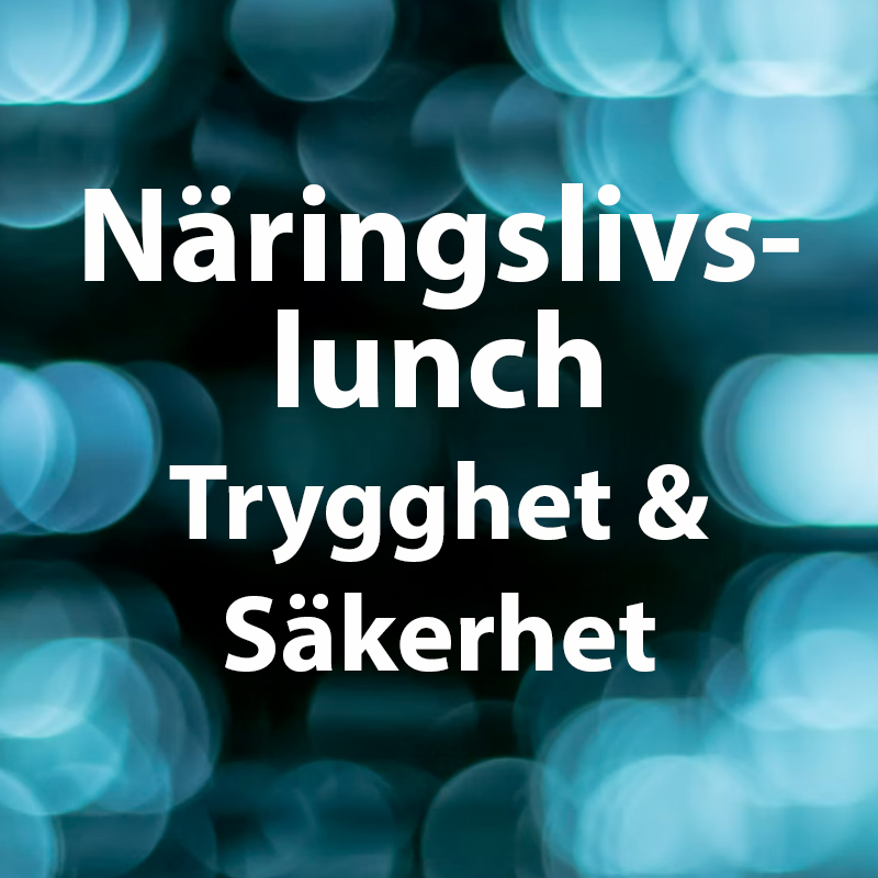 Läs mer om artikeln Näringslivslunch om Trygghet och Säkerhet